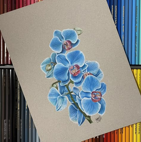 Realistic Flower Drawings Colour Pencil, Realistic Flower Color Pencil Drawings, Botanical Colored Pencil, Prismacolor Pencils Drawing, Realistic Flower Drawing Color, Color Pencil Drawing Ideas Creative, Realistic Prismacolor Drawings, Flower Colored Pencil Drawing, Pencil Colour Drawing Flower