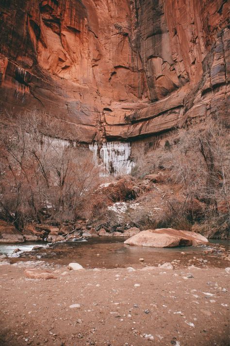 Planning a trip to Zion National Park? Our guide on where to stay near Zion offers a range of accommodation options to enhance your visit. From luxurious lodges with stunning park views to cozy, budget-friendly motels, find the perfect place to rest after a day of exploration. We also highlight charming bed and breakfasts and unique camping spots for a more immersive experience. Trip To Zion National Park, National Parks Usa, Camping Spots, Planning A Trip, Zion National Park, Immersive Experience, Hiking Trip, Bed And Breakfast, The Park