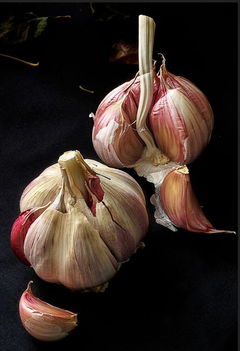 Beauty Fotografie, Vegetable Painting, Vegetables Photography, Dark Food Photography, Still Life Fruit, Food Photography Inspiration, Fruit Photography, Still Life Photos, Food Painting