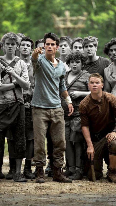 Thomas Maze Runner, Maze Runner 1, Maze Runner Characters, Maze Runner Thomas, Will Poulter, Maze Runner Trilogy, Maze Runner Funny, Maze Runner Cast, Maze Runner Movie