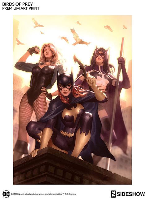 Gotham City just got a little safer, and the Birds of Prey Premium Art Print offers an eye-catching view of the trio who makes the bad guys worry a little bit more.  Realizing three heads are better than one, and six fists are better than two, Batgirl, Black Canary, and the Huntress join forces to Batman Batgirl, Dc Batgirl, Dc Comics Girls, Univers Dc, Barbara Gordon, By Any Means Necessary, Arte Dc Comics, Dc Comics Characters, Comics Girls