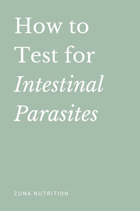 How to Test for Intestinal Parasites Parasites Symptoms, Intestinal Parasites, Parasite Cleanse, Digestion Problems, Free Guide, How To Do Yoga, Abs Workout, Human Body, How Are You Feeling