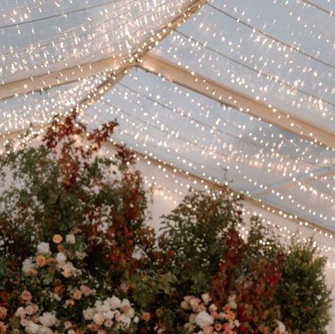 Ivory Tribe on Instagram: "TOP TIPS WHEN PLANNING A MARQUEE WEDDING ⠀⠀⠀⠀⠀⠀⠀⠀⠀ There’s something about a marquee wedding – the stand-alone structures can provide a magical atmosphere while you immerse yourselves in unique surrounds. ⠀⠀⠀⠀⠀⠀⠀⠀⠀ At the same time, marquees really are the ultimate blanks canvas when it comes to making your celebration your own, allowing you to take take any outdoor space and make it into a perfect piece of paradise. ⠀⠀⠀⠀⠀⠀⠀⠀⠀ Freedom and flexibility are the joys in pl Ivory Tribe, Wedding Marquee, Standing Alone, Marquee Wedding, Blank Canvas, Farm Wedding, Plan A, Top Tips, Outdoor Space