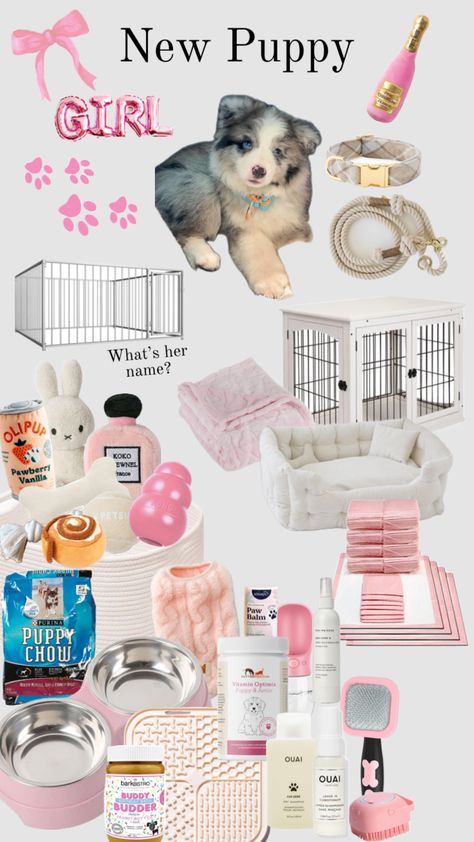 Puppy Must Haves, Dog Room Design, Puppy Essentials, Dog Supplies List, Puppy Items, Dog Room Decor, New Puppy Checklist, Puppy Girl, Puppy Checklist