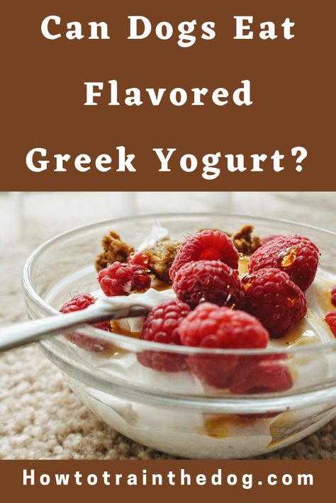 Greek Yogurt For Dogs, Yogurt For Dogs, Can Dogs Eat Blueberries, Can Dogs Eat Strawberries, Best Greek Yogurt, Frozen Greek Yogurt, Eat Greek, Greek Yogurt Flavors, Fruit Yogurt