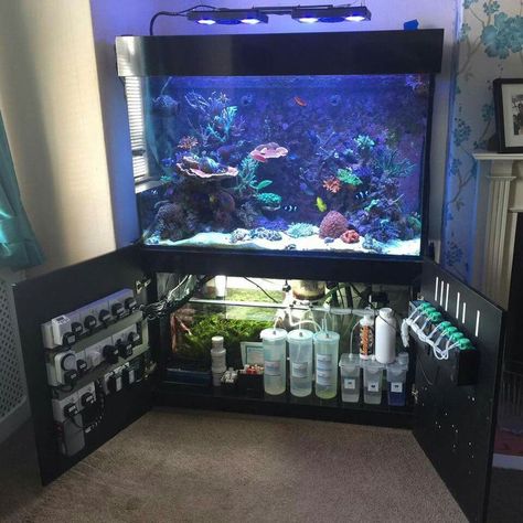 Marine Fish Tanks, Saltwater Aquarium Fish, Amazing Aquariums, Fish Tank Stand, Saltwater Fish Tanks, Marine Tank, Fish Varieties, Aquarium Terrarium, Aquarium Stand