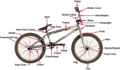 My biggest project would probably making bmx bikes for me and other people in the world. Bmx Bandits, Bike Names, Bmx Bike Parts, Bmx 20, Mountain Bike Parts, Fox Mustang, Bike Hacks, Bmx Street, Best Bmx