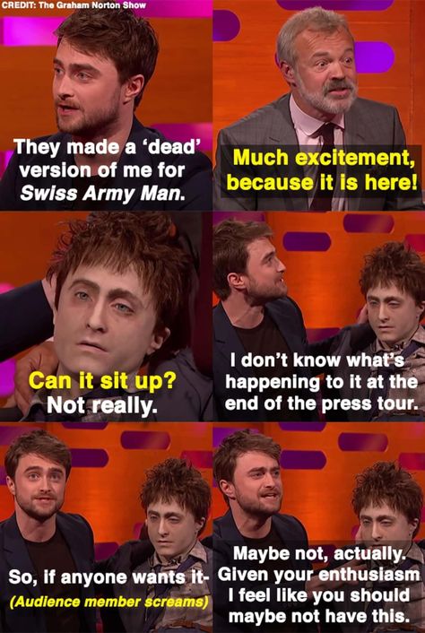 17 'Graham Norton' Interviews Where 'Harry Potter' Actors Were Spellbindingly Hilarious Daniel Radcliffe Interview, Swiss Army Man, Army Man, Julie Walters, Graham Norton Show, Graham Norton, Southern Heritage, Harry Potter Actors, Non Sequitur