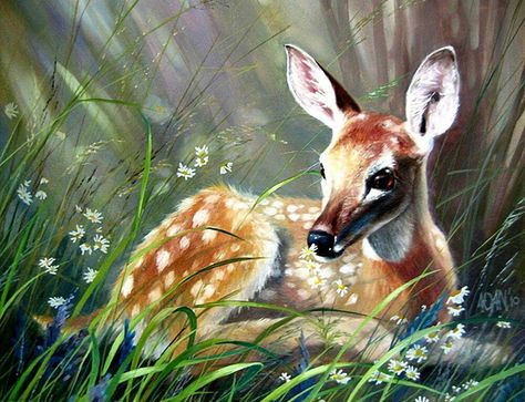 Whitetail Deer Pictures, Animal Paintings Acrylic, Deer Artwork, Animal Art Projects, Butterfly Art Painting, Deer Painting, Spirit Animal Art, Goddess Artwork, Smart Art