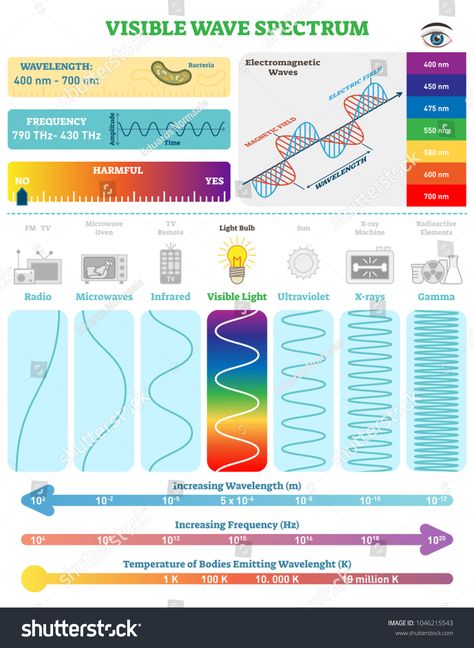 Electromagnetic Waves: Visible Wave Spectrum. Vector illustration diagram with wavelength, frequency, harmfulness and wave structure. Science educational information. Info poster. #Ad , #spon, #illustration#Vector#wavelength#diagram Stationary Waves Physics, Electricity Basics, Waves Science, Info Poster, Wave Function, Fourth Grade Science, Physics Concepts, Measurement Worksheets, Learn Physics