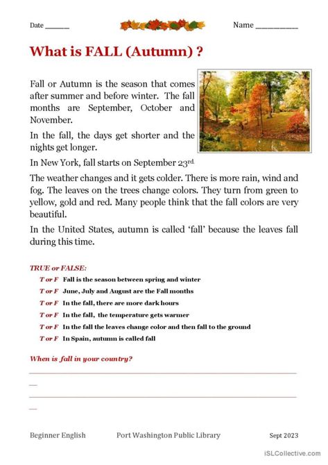 Beginner Reading, Esl Reading Comprehension, Fall Worksheets, Esl Reading, Fall Starts, 4 Grade, Reading For Beginners, English Exercises, Fall Reading