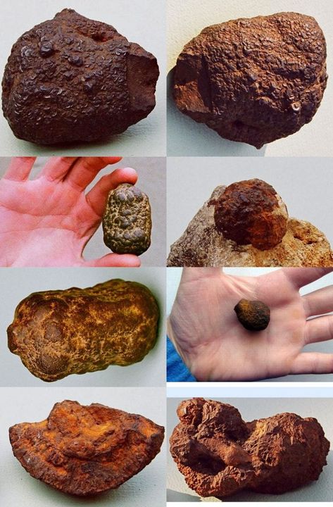 Iron-Oxide Concretions and Nodules | Some Meteorite Information | Washington University in St. Louis Fossils In Rocks, Ancient Artifacts Archaeology, Rock Identification Pictures, Meteor Rocks, Gold Mining Equipment, Meteorite For Sale, Mineral Identification, Washington University In St Louis, Rock Identification