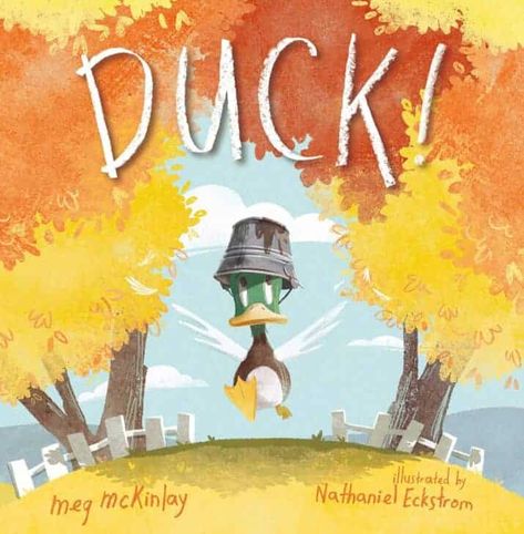 Duck Runs, Childrens Book Cover, Duck Pictures, Book Cover Illustration, Picture Books Illustration, Childrens Books Illustrations, Falling From The Sky, Kids Story Books, Children's Picture Books