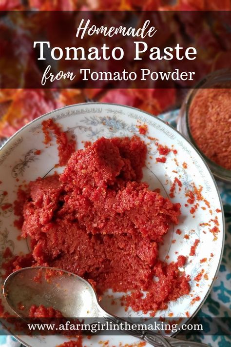 Homemade tomato paste is easy to achieve with the use of tomato powder. Reconstituting dehydrated tomato peels with water to make an easy, and quite delicious, homemade tomato paste is achievable. Plus, you’ll never have to worry about wasting a can of tomato paste any longer! #tomatopaste #tomatoes #tomatopowder #deydratedtomatoes #homemadetomatopaste Tomato Powder Uses, Tomato Powder Recipes, Dehydrate Recipes, Dehydrate Vegetables, Make Tomato Paste, Canning Stewed Tomatoes, Tomato Skins, Dehydrator Ideas, Tomato Paste Uses