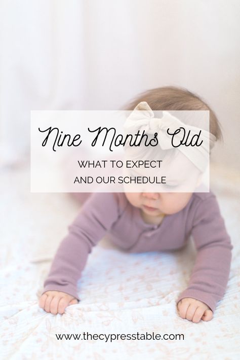 Nine Month Old Schedule, 9 Month Baby Schedule, 9 Month Schedule, 8 Month Old Schedule, 9 Month Old Schedule, Babywise Schedule, Closing Prayer, 9 Month Old Baby, Baby Schedule