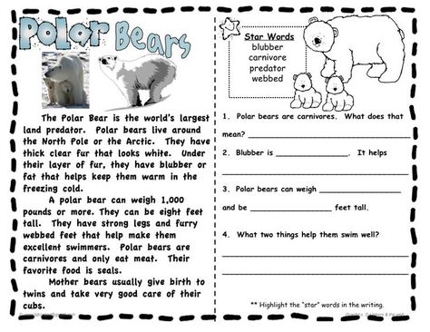 Polar Bear Science, Writing 3rd Grade, Bears Preschool, Animal Writing, Summer Camp Activities, Short Passage, Homeschool Worksheets, Animal Science, Star Words