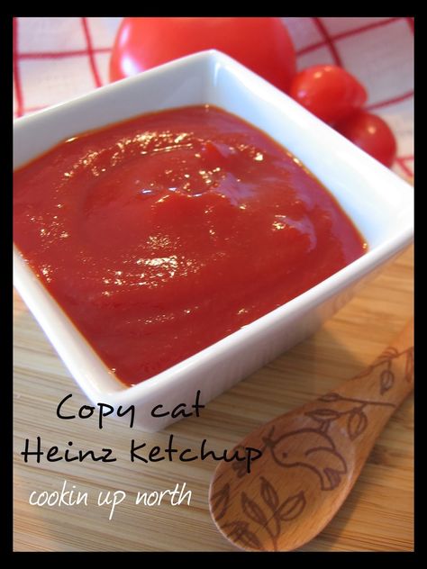 Homemade Heinz Ketchup, Copycat Heinz Ketchup Recipe, Heinz Ketchup Recipe, Ketchup Homemade, Urban Prairie, Tomato Ketchup Recipe, Premade Meals, Homemade Ketchup Recipes, Freezing Tomatoes