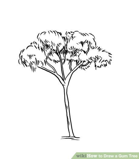 How to Draw a Gum Tree: 8 Steps (with Pictures) - wikiHow Dremel Art, Camping Embroidery, Tree Line Drawing, Patterns To Paint, Mountain Project, Tree Drawing Simple, Australia Tattoo, Animal Line Drawings, Drawing Tree