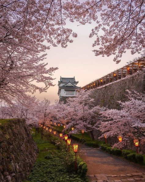 📸Photo of the day A moment captured that will never age #livinginjapan #japan #japantravel #japantravelguide #japantravelphoto #japantrip #japantraveller #travel #traveller #sightseeing #sightseeingjapan #beautifuljapan #beautiful #beauty #kyoto #kyotojapan #kyototrip #osaka #osakajapan #tokyo #tokyojapan #sakura #cherryblossoms Japan Village, Japanese Countryside, Japan Cherry Blossom, Living In Japan, Cherry Blossom Japan, Japan Life, Japan Sakura, Blossom Season, Scenery Photos