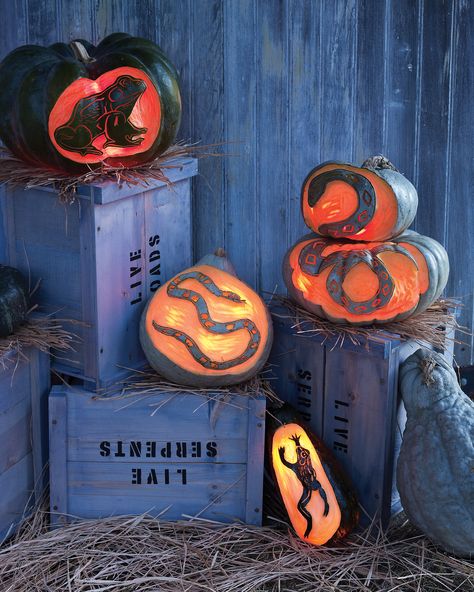 Creepy Crates Snake Pumpkin, Crazy Buildings, Dekorasi Halloween, Carved Pumpkins, Witch Party, Pumpkin Carvings, Labu Halloween, Spooky Movies, Pumpkin Carvings Stencils