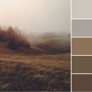 Color Love | Warm Grays & Browns Gray And Brown Color Scheme, Grey And Brown Color Scheme, Ash Brown Color Palette, Gray Brown Color Palette, Grey Brown Bathroom, Gray Color Schemes, Brown Color Schemes, Brown Color Palette, Grey Color Scheme