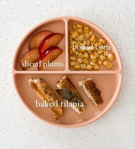 Here is another round up of some healthy BLW meals that we have tried! I recently decided to do the "100 Foods before 1" challenge, so I've been trying to get even more of a variety in the foods Sloane is eating. I always recommend the Solid Starts app if you aren't sure how to serve for your baby based on age. #blw #blwideas #blwmeals #blwrecipes #recipes Blw Meal Ideas, 100 Foods Before 1, Blw Meal, Blw Meals, Solid Starts, Plated Food, Toddler Foods, Baby Meals, Toddler Lunch