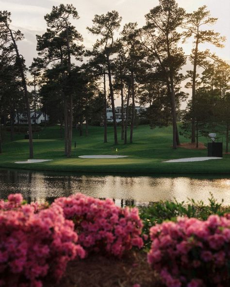 Breathtaking views around every corner at Augusta National Golf Club. Augusta Golf, Masters Tournament, Augusta National Golf Club, Masters Golf, Augusta Ga, Augusta National, Golf Ball, Golf Club, Breathtaking Views