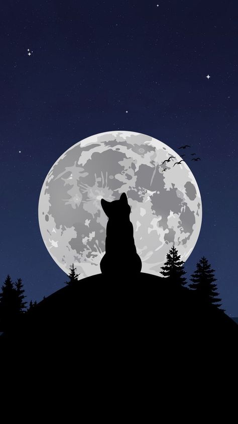 Cat And Moon Drawing, Moon Animated, Wallpaper Allah, Cats Art Drawing, Cat Obsession, Iphone Wallpaper Stills, Arte Van Gogh, Moon Drawing, Witch Aesthetic