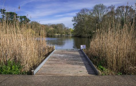 https://flic.kr/p/H3vxuw | A Place To Fish | One of the fishing platforms at Mill Pond in Bracknell Minnow Pond, Pike Place Market Fish Throwing, Salmon Fishing Michigan, Railroad Tracks, Country Roads, Fish, Favorite Places, Road