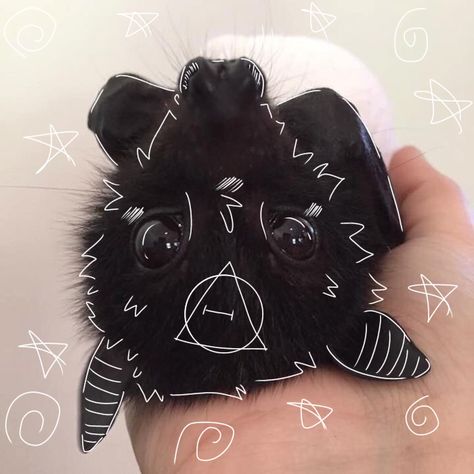 DO NOT STEAL. If you repost please credit me. Bat Therian Mask, Bat Therian, Bat Mask, Crafts To Do When Your Bored, Cute Mask, Cute Cat Memes, Fruit Bat, Baby Bats, Cat Hacks