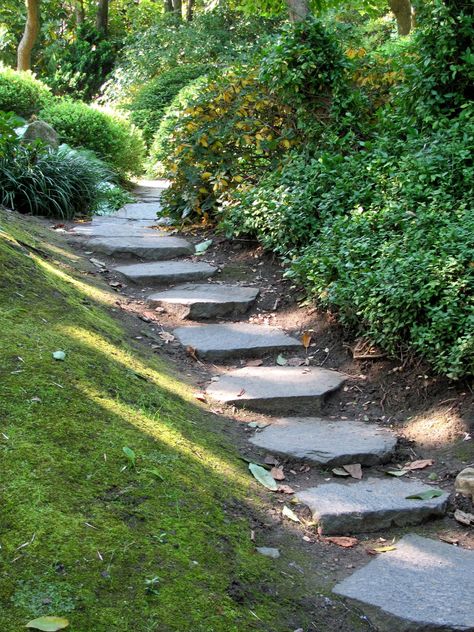 Abroad in the Czech Republic: Garden "Stairs" Landscape Stairs, Backyard Walkway, Stairs Ideas, Sloped Backyard, Walkways Paths, Garden Stairs, Stone Stairs, Hillside Landscaping, Outdoor Steps