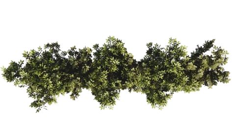 Tree Top View Png, Bushes Png, Landscape Top View, Analysis Architecture, Png Top, Leaves Texture, Site Analysis Architecture, Trees Top View, Leaf Png