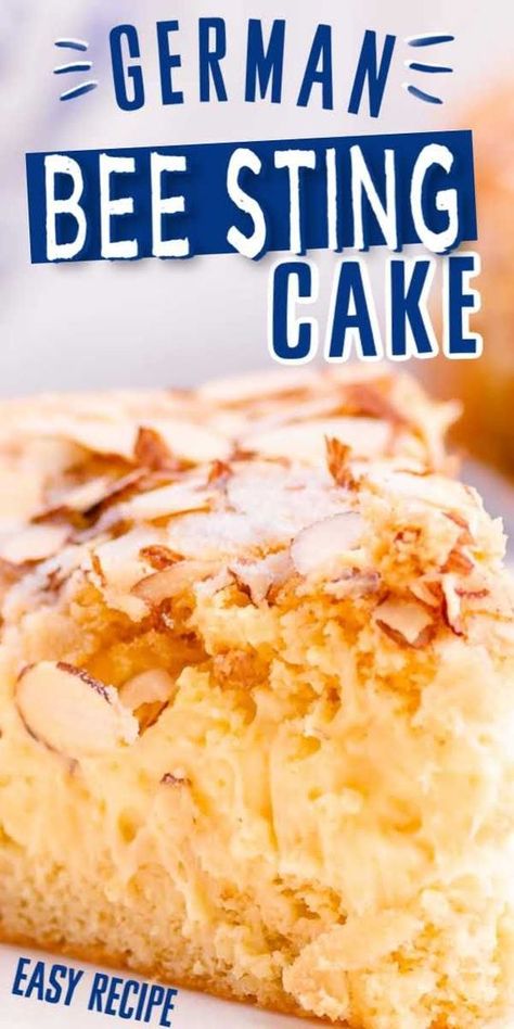 German Desserts Traditional, German Yeast Cake, German Deserts Easy, German Recipes In English, Prize Winning Desserts, German Cakes Traditional, German Kuchen Recipes, German Treats, German Bee Sting Cake