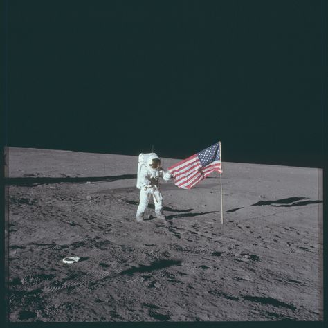 Apollo 12 Hasselblad image from film magazine 47/V - EVA-1 Nasa Aesthetic, Space People, Nasa Moon, Apollo Space Program, Don Knotts, Star Trek Show, Apollo Program, Nasa Space Shuttle, Nasa Apollo