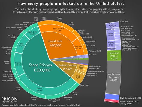 Family Diversity, Prison Reform, Infographics Design, Restorative Justice, Correctional Facility, Mass Incarceration, Federal Prison, Lock Up, Under The Influence