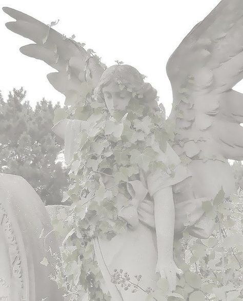 Angel Statue, An Angel, White Aesthetic, Follow For More, Angel, Statue, Flowers, White