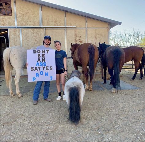 Country Prom Posals, Western Theme Promposal, Cowgirl Promposal, Horse Hoco Proposals, Country Promposal For Him, Rodeo Prom Proposal Ideas, Cow Promposal Ideas, Horse Promposal, Cow Hoco Proposal