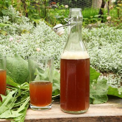 Dandelion and burdock beer recipe, from 'River Cottage Handbook: Booze' Cottage Community, Mead Wine, Dandelion And Burdock, Beer Recipe, Brewing Recipes, Foraging Recipes, Edible Wild Plants, Foraged Food, River Cottage