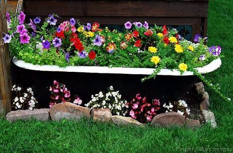 Old Bathtub, Clawfoot Tub, Bath, Flowers