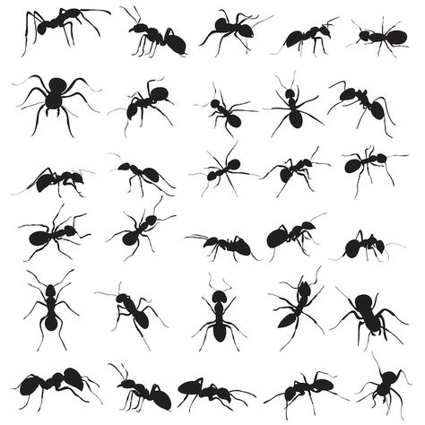 Small Ant Tattoo, Ant Tattoo Small Cute, Ants Drawings, Ant Silhouette, Drawing Ants, Ant Drawing Easy, Ant Graphic, Ants Tattoo, Ant Drawing