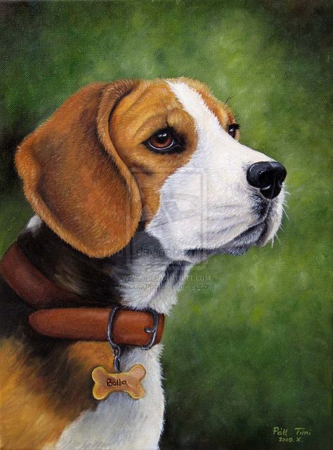 Calm Dog Breeds, Pocket Beagle, Beagle Art, Puppy Obedience Training, Positive Dog Training, Basic Dog Training, Therapy Animals, Calm Dogs, Best Dog Training