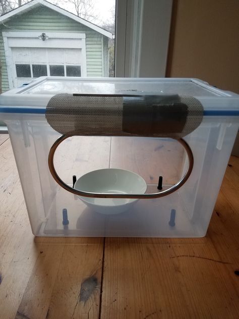 Cat Feeder Dog Proof, Dog Proof Cat Feeder, Cat Feeder Station, Round Tuit, Auto Cat Feeder, Cat Food Station, Catio Ideas, Cat Feeding Station, Cat Hotel