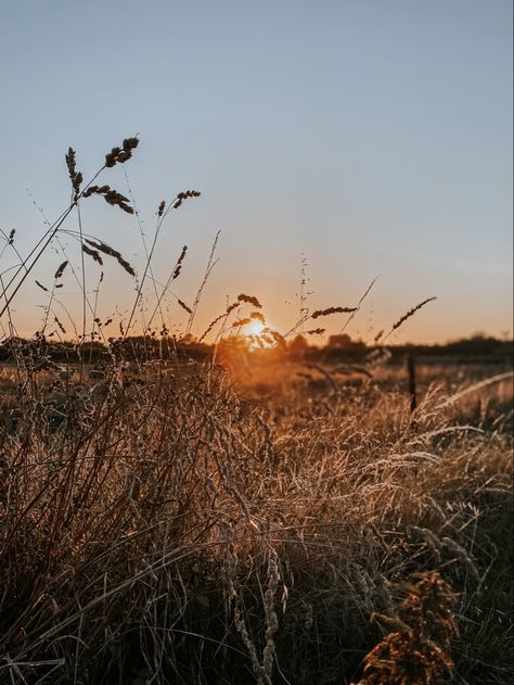 Country Fields Aesthetic, Country Athestic, Country Sunset Aesthetic, Sunsets Country, Country Astetic, Widget Photos Aesthetic, Country Vibes Aesthetic, Southern Pictures, Sunset In The Country