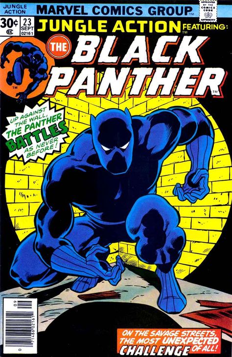 Black Panther Comic, Marvel Comics Covers, Black Panther Art, The Black Panther, Comic Poster, Black Panthers, Comic Manga, Marvel Comic Books, Black Panther Marvel