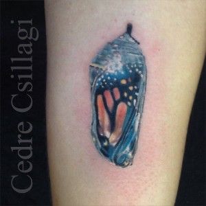 butterfly chrysalis color tattoo realism Chrysalis Tattoo, Caterpillar Tattoo, Monarch Tattoo, Monarch Butterfly Tattoo, Butterfly Chrysalis, Tattoo Realism, Baby Name Tattoos, Food Tattoos, Swallow Tattoo