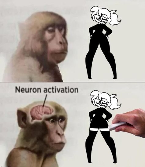 Very Funny Pictures, Art Memes, Really Funny Pictures, Funny Anime Pics, Really Funny Memes, Videos Funny, Creative Process, Monkeys, Cute Anime Character