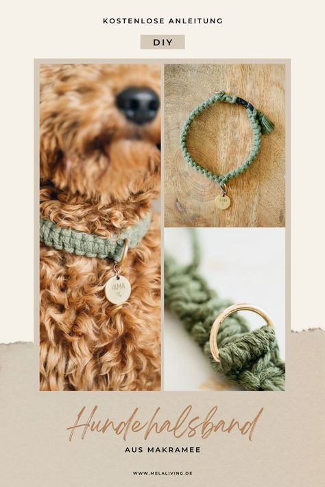 Macrame Pet Collar, Diy Dog Collar, Diy Christmas Village, Led Dog Collar, Pet Boutique, Macrame Ideas, Macrame Decor, Dog Wear, Macrame Art