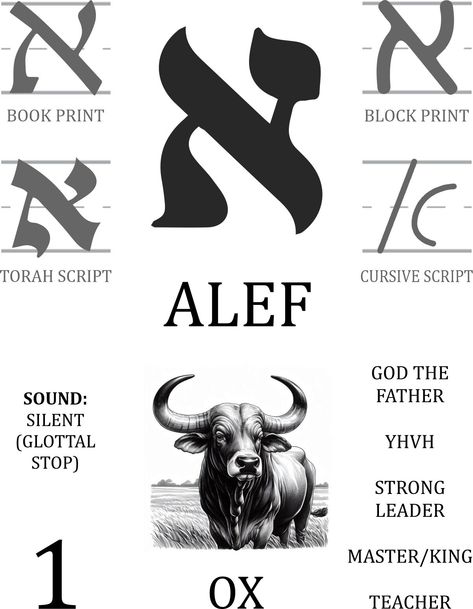 Dive into the deep wonder of learning the language of the Bible. These Aleph Bet flashcards will help you understand how to recognize, pronounce, and write each Hebrew letter, as well as learn their numerical representation and biblical symbolic meanings. This purchase will include two ready-to-print PDF files; One for full page letter sized flashcards and one for 4.25" by 5.5" in flashcards (4 per letter sized page). These flashcards are a great tool for homeschool, classroom use, teachers, churches, Sunday school, or family Bible learning time. They make learning Hebrew fun for all ages. Hebrew Letters Meaning, Biblical Hebrew Words, Hebrew Language Words, Hebrew Education, Bible Learning, Hebrew Writing, Learning Hebrew, Aleph Bet, Symbolic Meanings