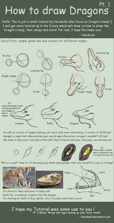 How To Draw Dragons, Dragon Poses, Dragon Anatomy, Dragon Sketch, Creature Drawings, Dragon Pictures, Dragon Artwork, Dragon Drawing, Creature Concept Art