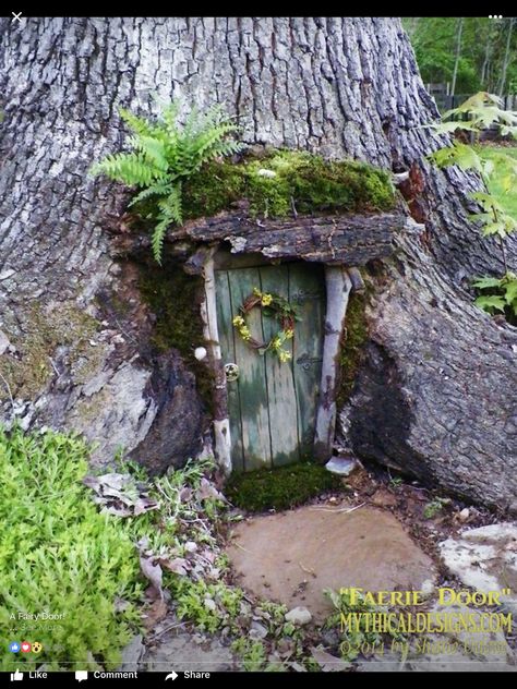 Fairy door in a tree trunk Diy Miniature Garden, Fairy Garden Doors, Fairy Tree Houses, Fairy Garden Designs, Faeries Gardens, Fairy Tree, Gnome House, Fairy Garden Houses, Fairy Doors